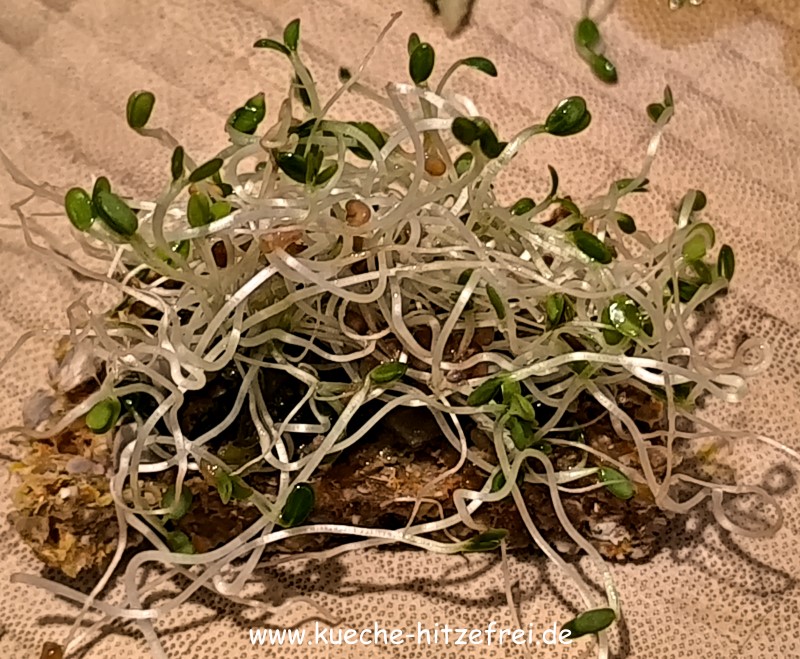 buchweizen_karotten_brot8